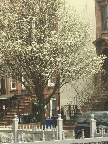 Hostal Townhouse On Greene