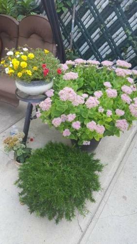 Apartamento Affordable Rooms In Shared House - Brooklyn