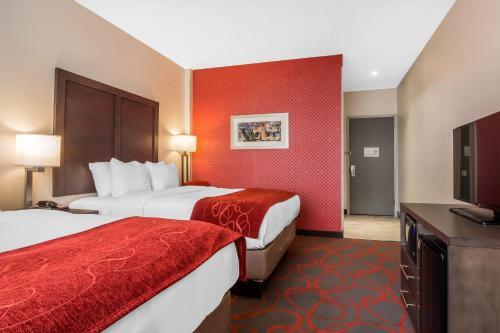 Hotel Comfort Inn & Suites Near Stadium