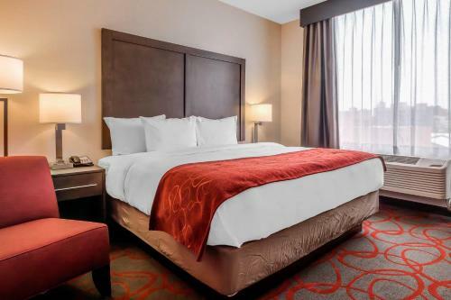 Hotel Comfort Inn & Suites Near Stadium