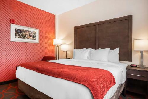 Hotel Comfort Inn & Suites Near Stadium