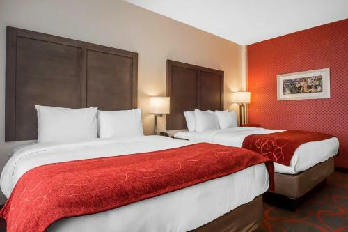 Hotel Comfort Inn & Suites Near Stadium