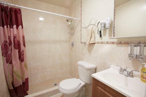 Studio&one Bedroom Apartments