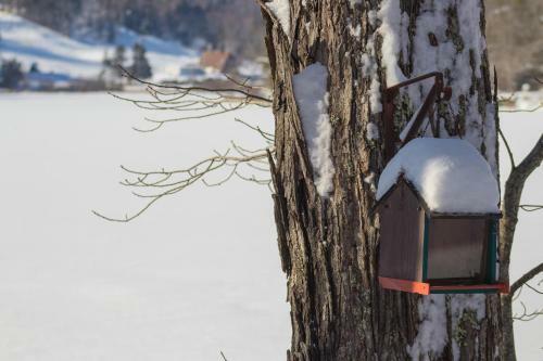 Hosmer Pond Retreat
