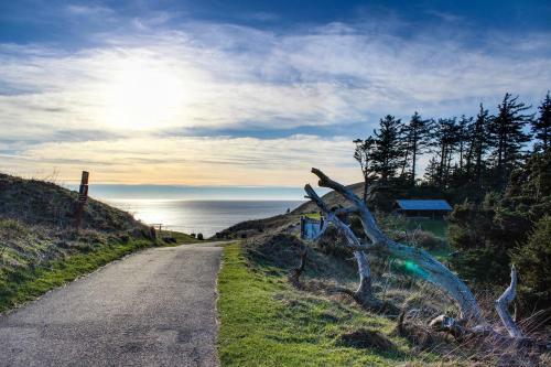 Beaches Inn | Puffins Place Cabana