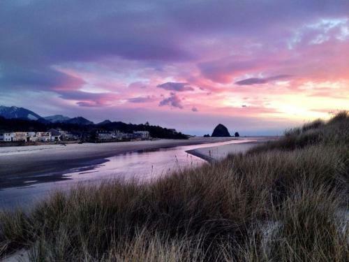 Hotel Webb's Scenic Surf