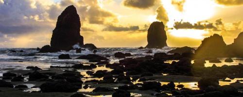 Cannon Beach Tree House