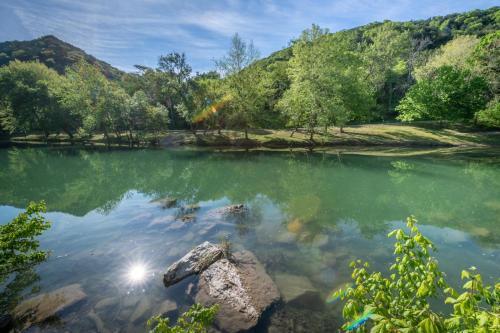 Guadalupe River Getaway Home