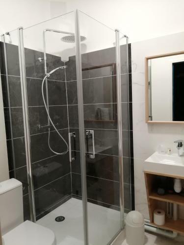Hotel H�tel Du Cygne