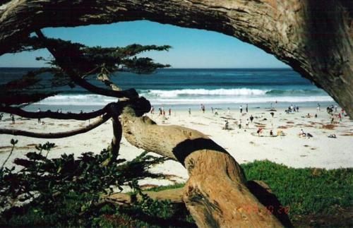 Sandy Toes Cottage - Three Bedroom - 3713