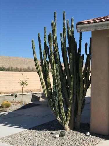 Gorgeous 3 Bedroom Home With Pool