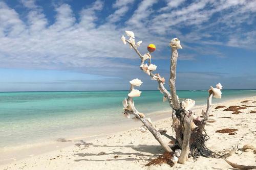 Southernmost Retreat