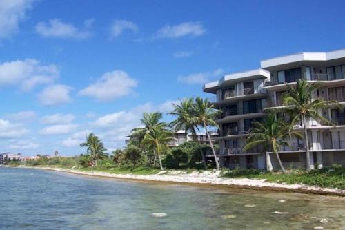 Coconut Palms