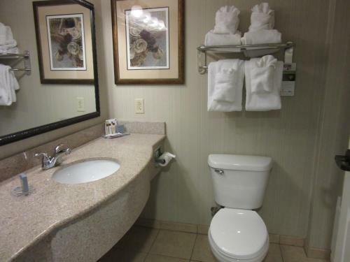 Hotel Wingate By Wyndham Charleston Southern University