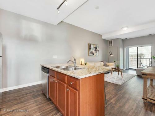 2br Apartment Near Mccormick Place!