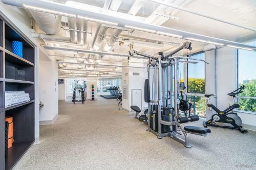 Apartment In River North Downtown Chicago