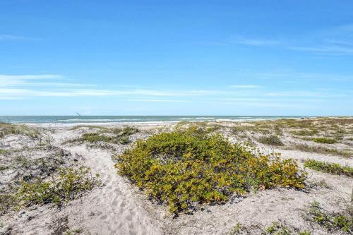19930 Gulf Blvd Townhouse Unit 4a
