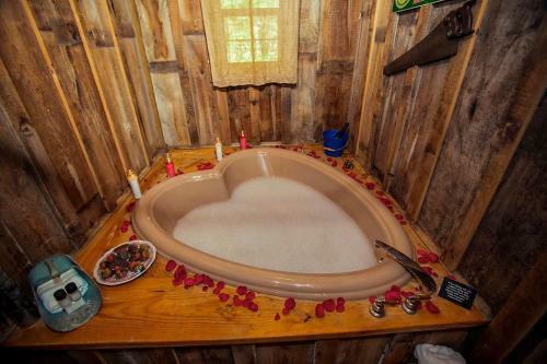Bed & Breakfast 7f Lodge And Events