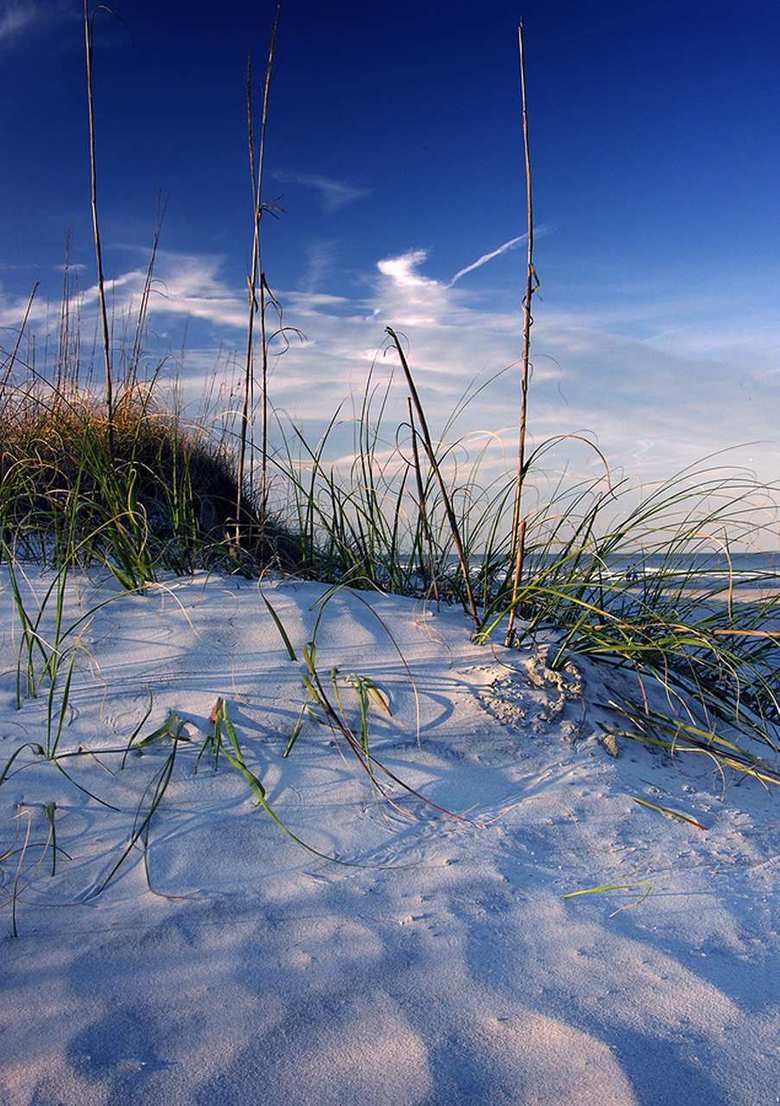 Hotel Hampton Inn & Suites Pensacola-university Mall Fl