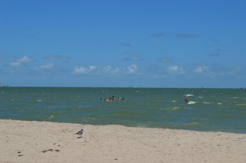 Apartamento Corpus Christi Beach Condo 3213