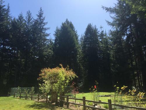 Agroturismo Redwood Forest