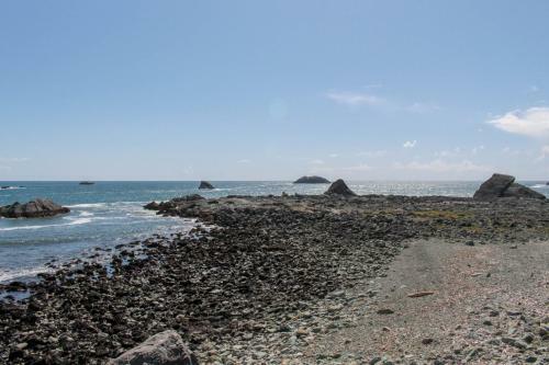Whales Playground