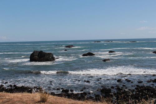 Whales Playground
