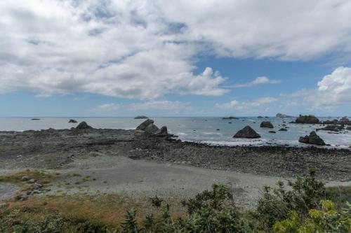 Whales Playground