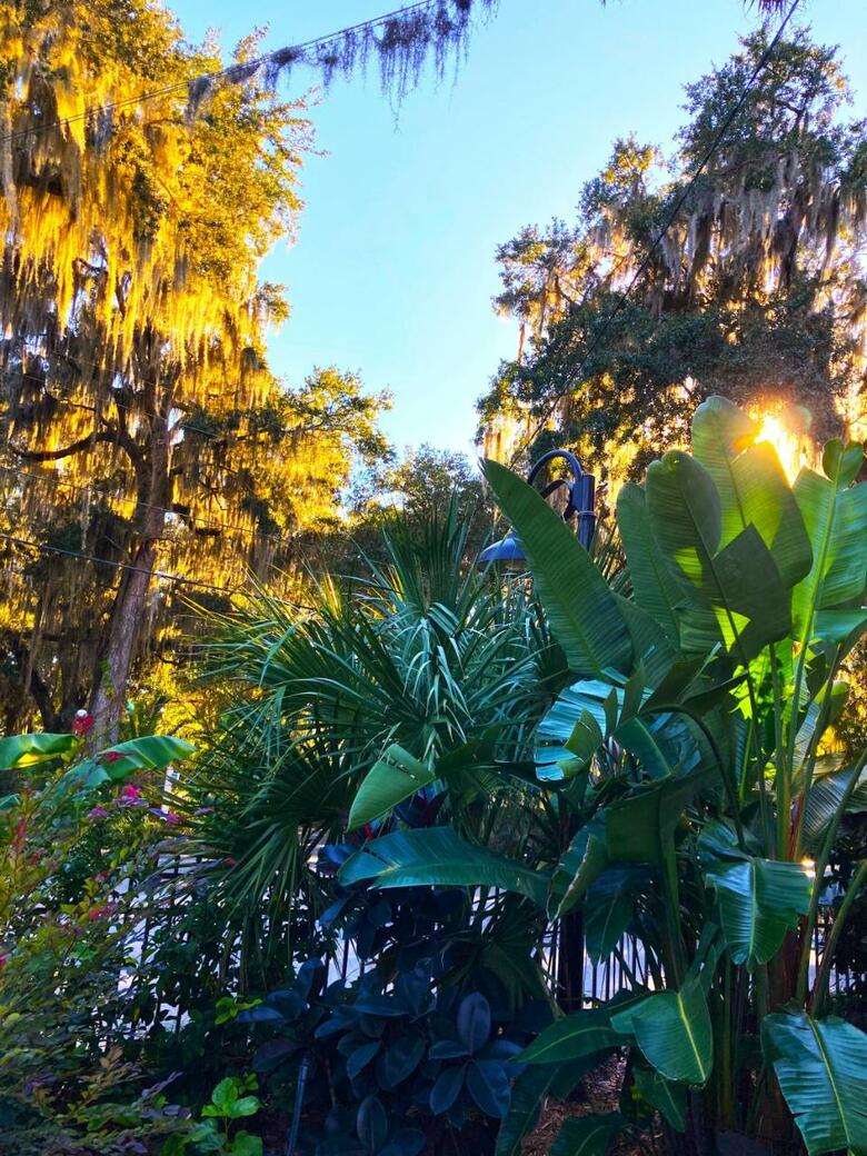 Hotel Retreat At Crystal Manatee