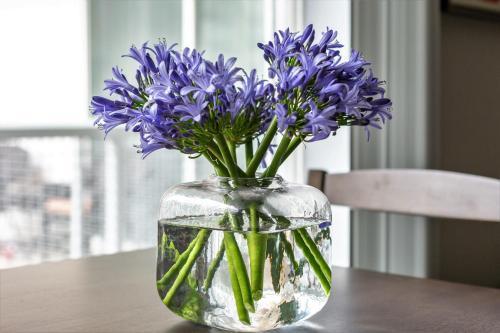 Apartamento Stay Alfred At Miro