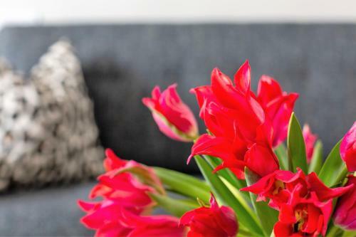 Apartamento Stay Alfred At Miro