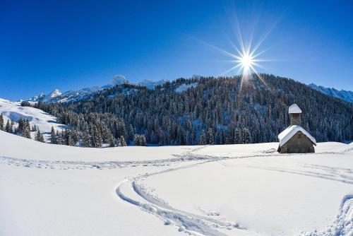 Hotel Alpen Roc