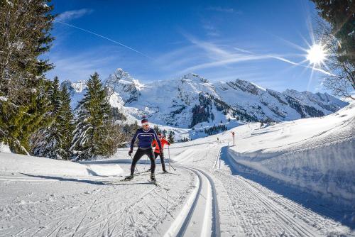 Hotel Alpen Roc