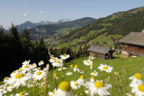 Hotel Alpen Roc
