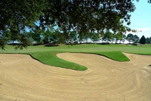 Palm Break 16621