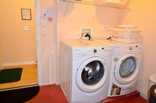 Scrub Lodging 489