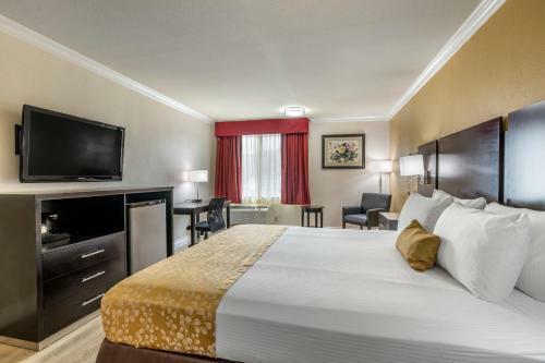 Hotel Best Western Plus South Bay Ho
