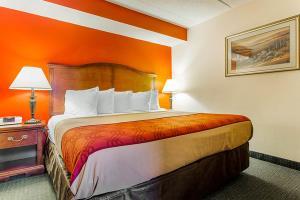Hotel Best Western Griffin