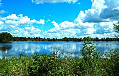 Lake Sanctuary 232