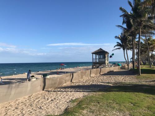 Tropical Paradise
