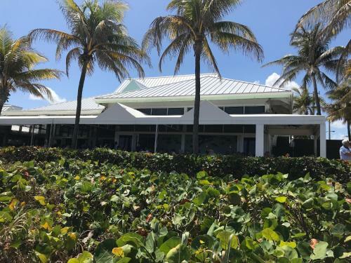 Tropical Paradise