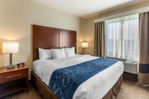 Hotel Comfort Suites Near Denver Downtown