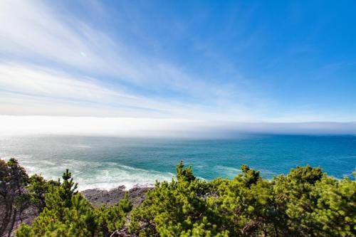 Whale Vista