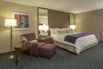 Hotel Wyndham Peachtree Conference