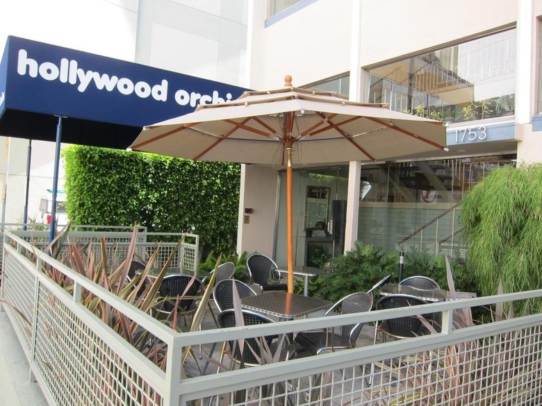 Hotel Hollywood Orquid Suites