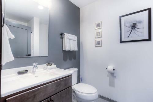 Downtown 1br Apartment Next To Public Transit