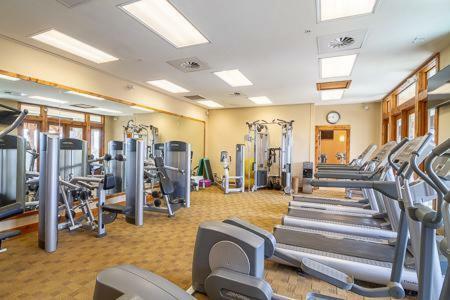 Apartamento Endless Summer - Lom218 Apts