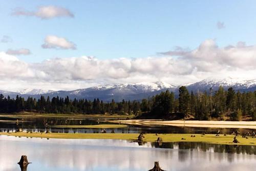 Black Bear Lodge