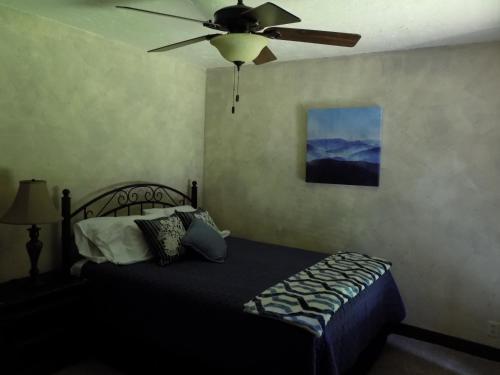 Birds Eye View Cabin