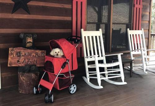 Laughing Bear Cabin